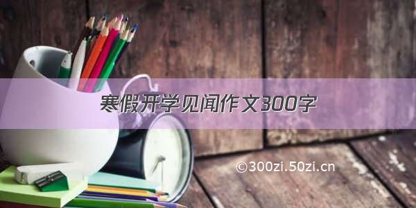 寒假开学见闻作文300字