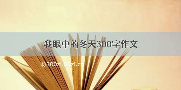 我眼中的冬天300字作文