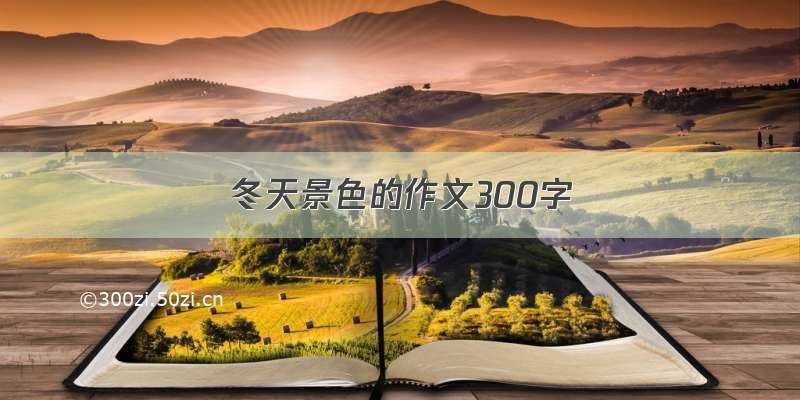 冬天景色的作文300字