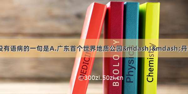 单选题下列各句中 没有语病的一句是A.广东首个世界地质公园&mdash;&mdash;丹霞山世界地质公园揭