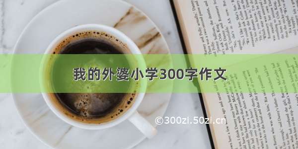 我的外婆小学300字作文