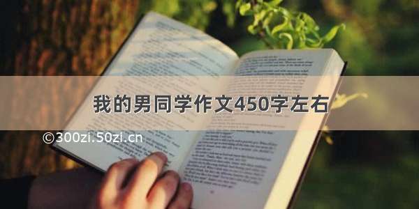 我的男同学作文450字左右