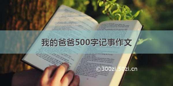 我的爸爸500字记事作文