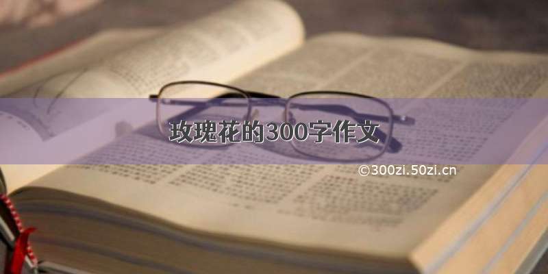 玫瑰花的300字作文