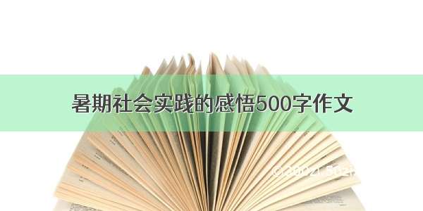 暑期社会实践的感悟500字作文