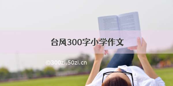 台风300字小学作文
