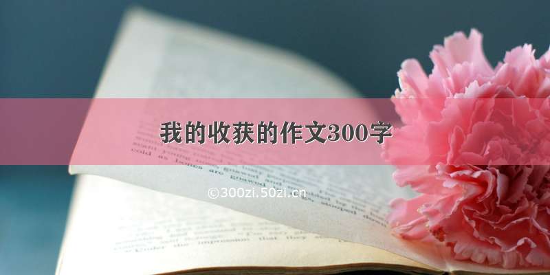 我的收获的作文300字