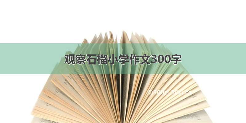 观察石榴小学作文300字