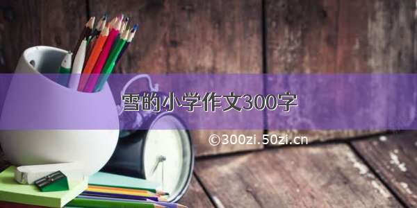 雪的小学作文300字