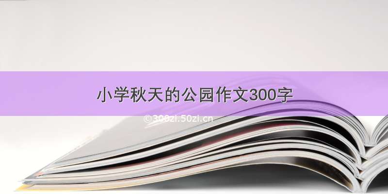 小学秋天的公园作文300字