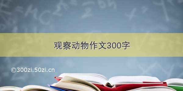 观察动物作文300字