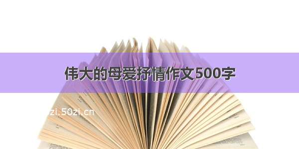 伟大的母爱抒情作文500字