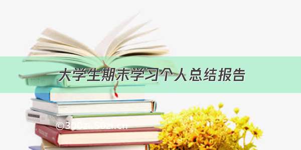 大学生期末学习个人总结报告