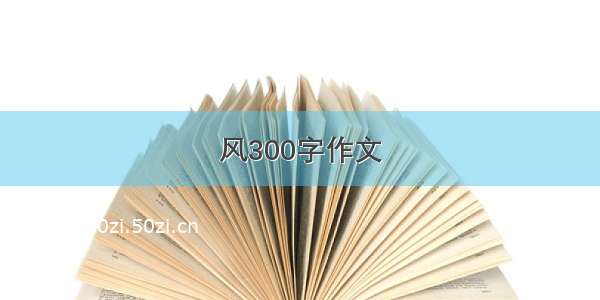 风300字作文