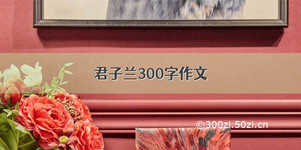 君子兰300字作文