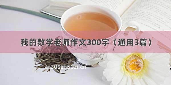 我的数学老师作文300字（通用3篇）