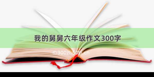 我的舅舅六年级作文300字