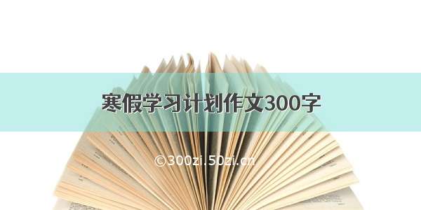 寒假学习计划作文300字