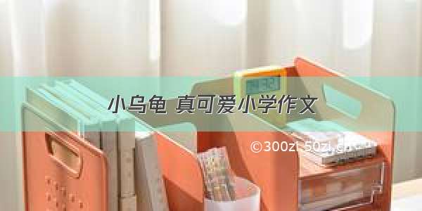 小乌龟 真可爱小学作文