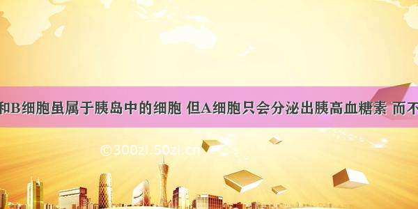 单选题A细胞和B细胞虽属于胰岛中的细胞 但A细胞只会分泌出胰高血糖素 而不会分泌胰岛素