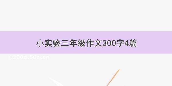 小实验三年级作文300字4篇