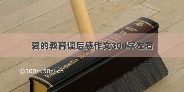 爱的教育读后感作文300字左右