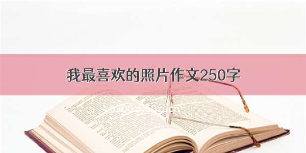 我最喜欢的照片作文250字