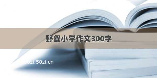 野餐小学作文300字