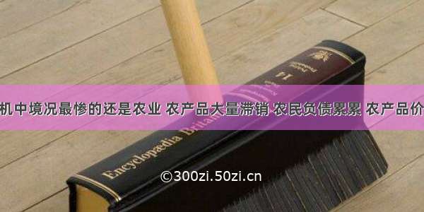 &ldquo;大危机中境况最惨的还是农业 农产品大量滞销 农民负债累累 农产品价格已跌到历史