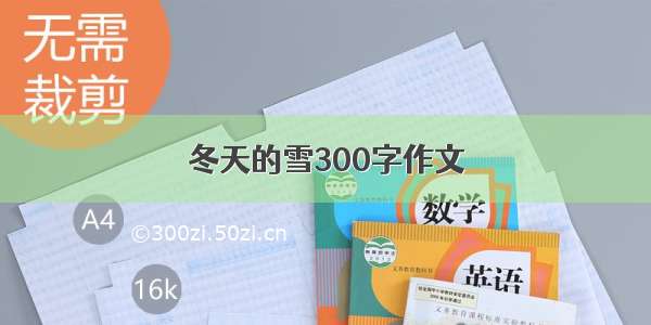 冬天的雪300字作文