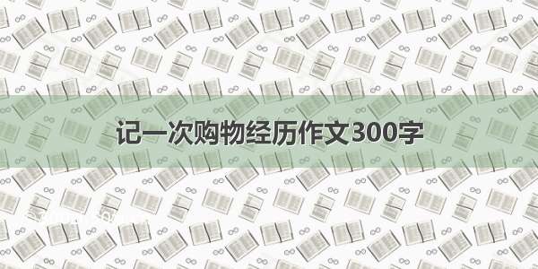 记一次购物经历作文300字