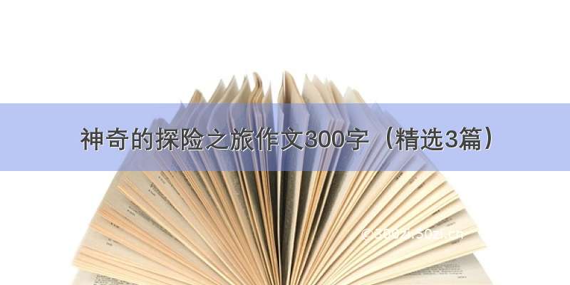 神奇的探险之旅作文300字（精选3篇）