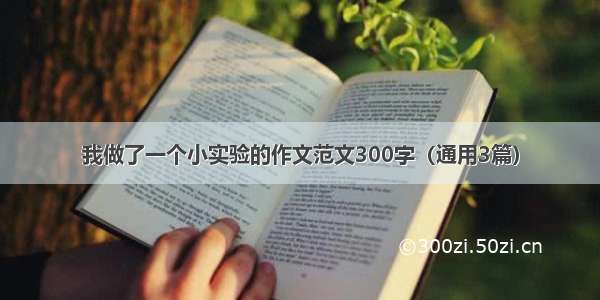 我做了一个小实验的作文范文300字（通用3篇）