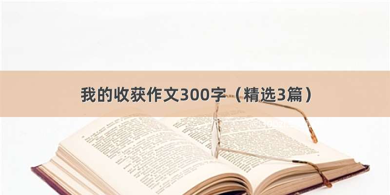 我的收获作文300字（精选3篇）